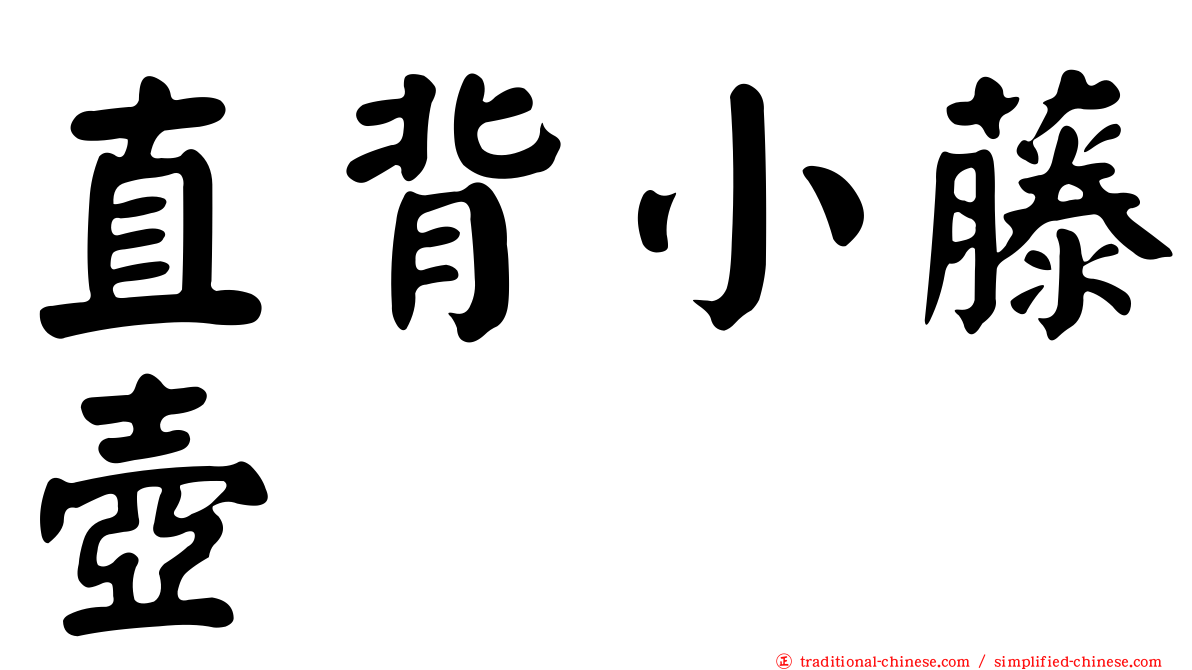 直背小藤壺