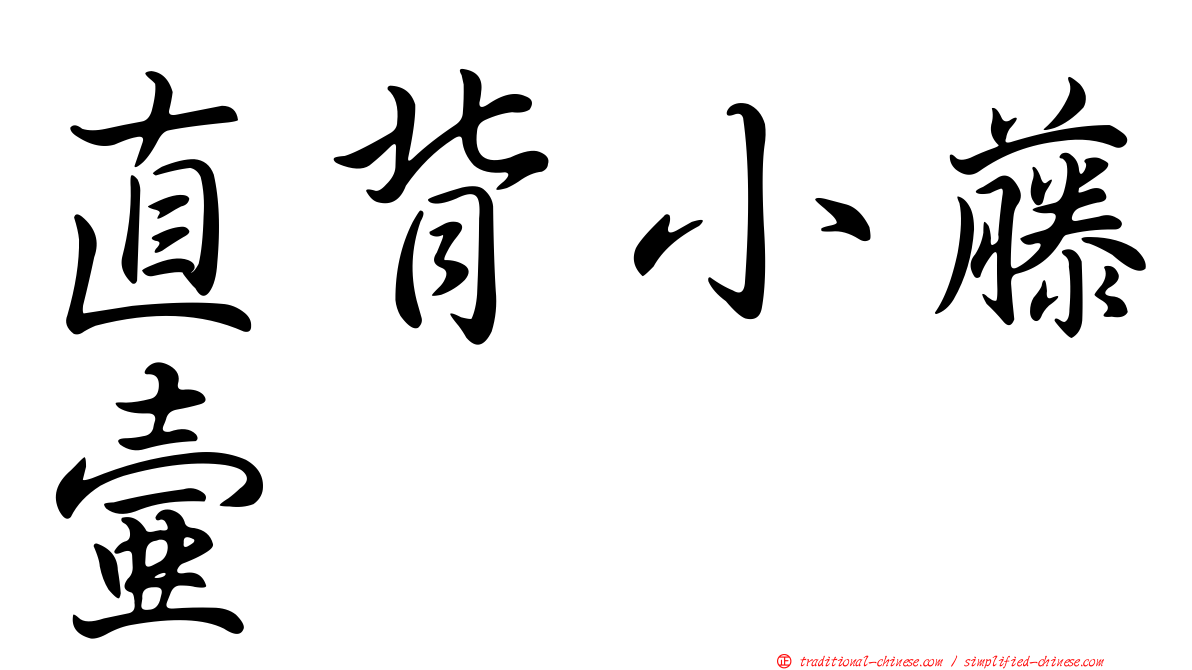 直背小藤壺