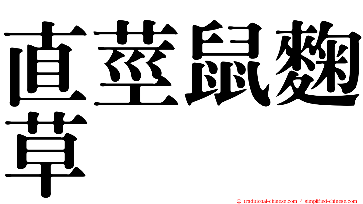 直莖鼠麴草