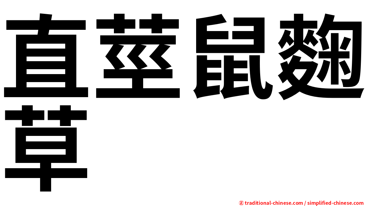 直莖鼠麴草