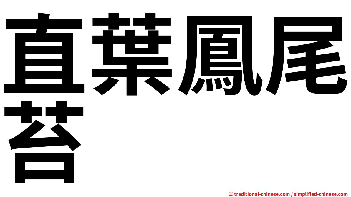 直葉鳳尾苔