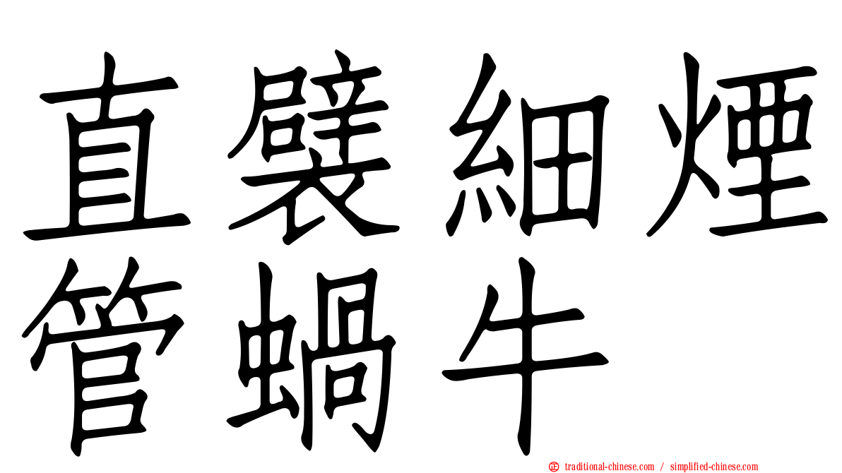 直襞細煙管蝸牛