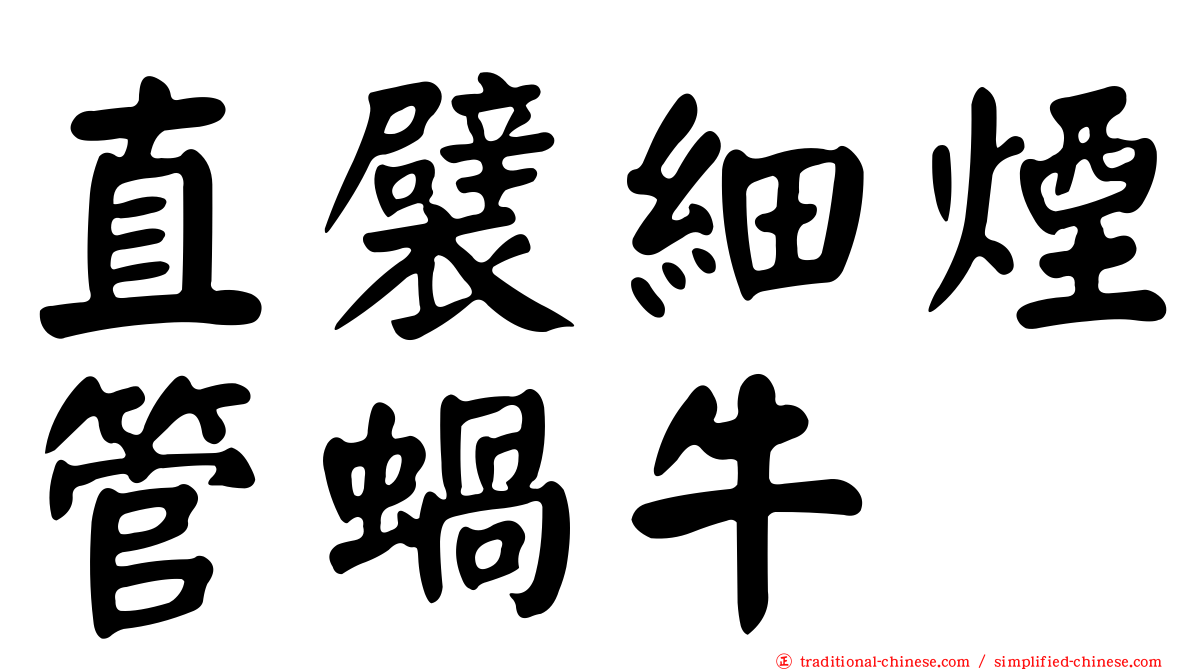 直襞細煙管蝸牛