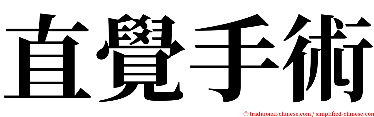直覺手術 serif font