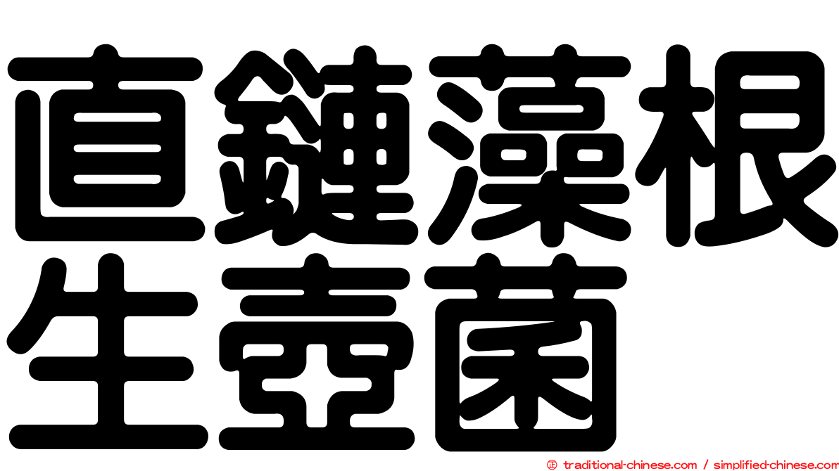 直鏈藻根生壺菌