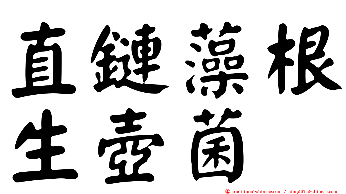 直鏈藻根生壺菌