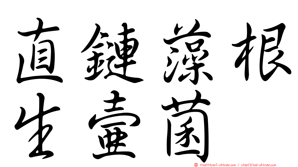 直鏈藻根生壺菌