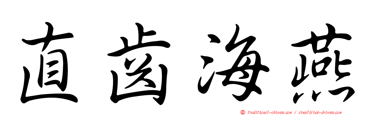 直齒海燕