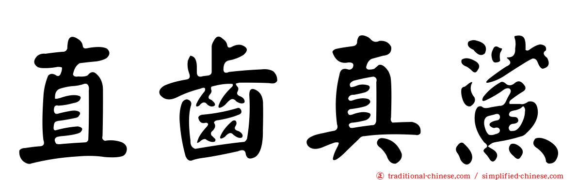 直齒真鯊