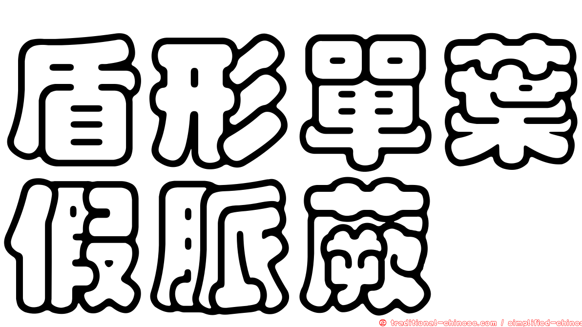 盾形單葉假脈蕨