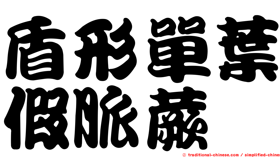 盾形單葉假脈蕨