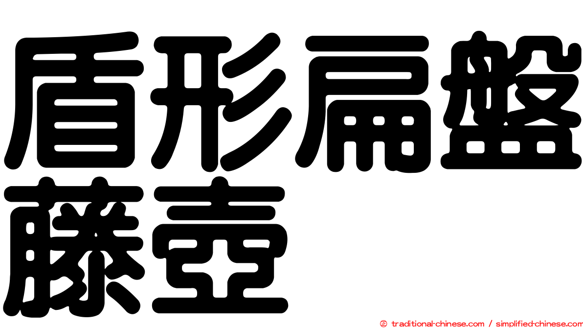 盾形扁盤藤壺