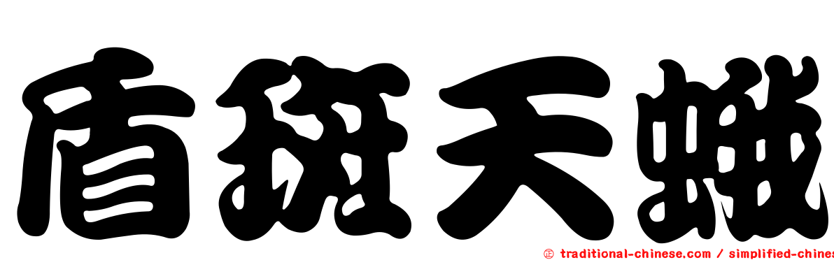 盾斑天蛾