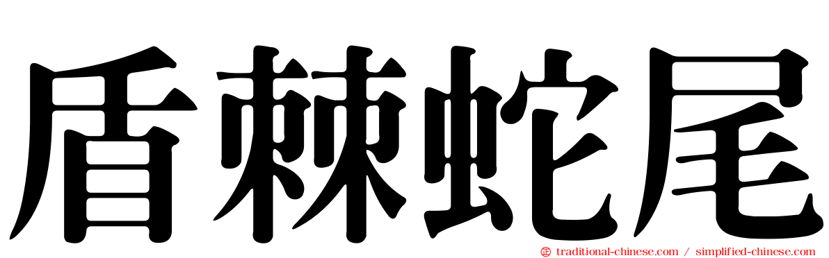 盾棘蛇尾