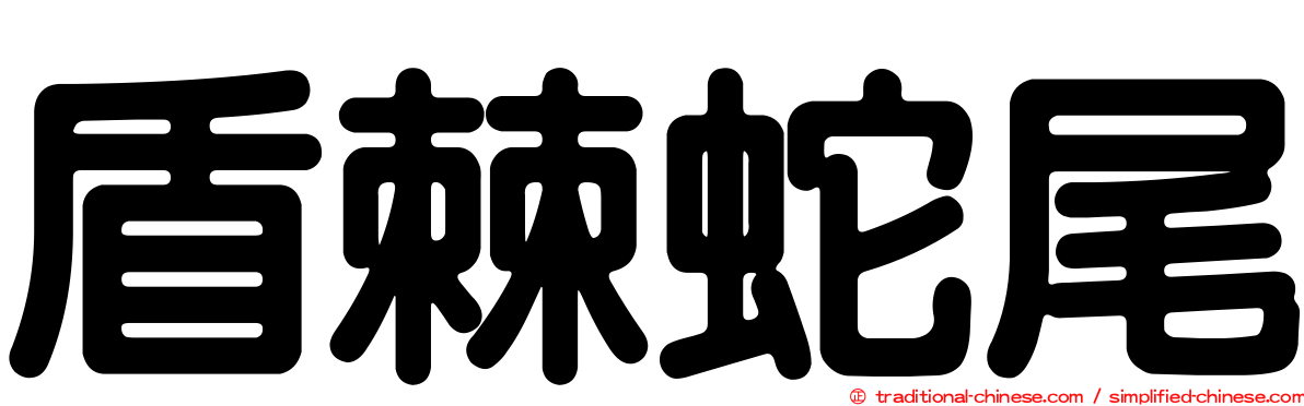 盾棘蛇尾