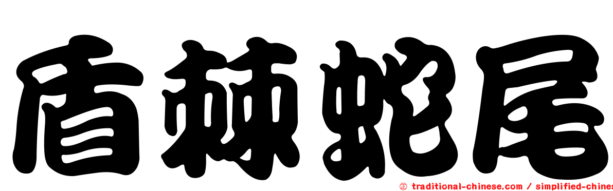 盾棘蛇尾