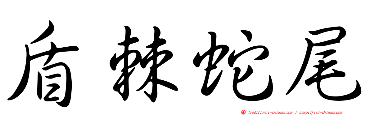 盾棘蛇尾