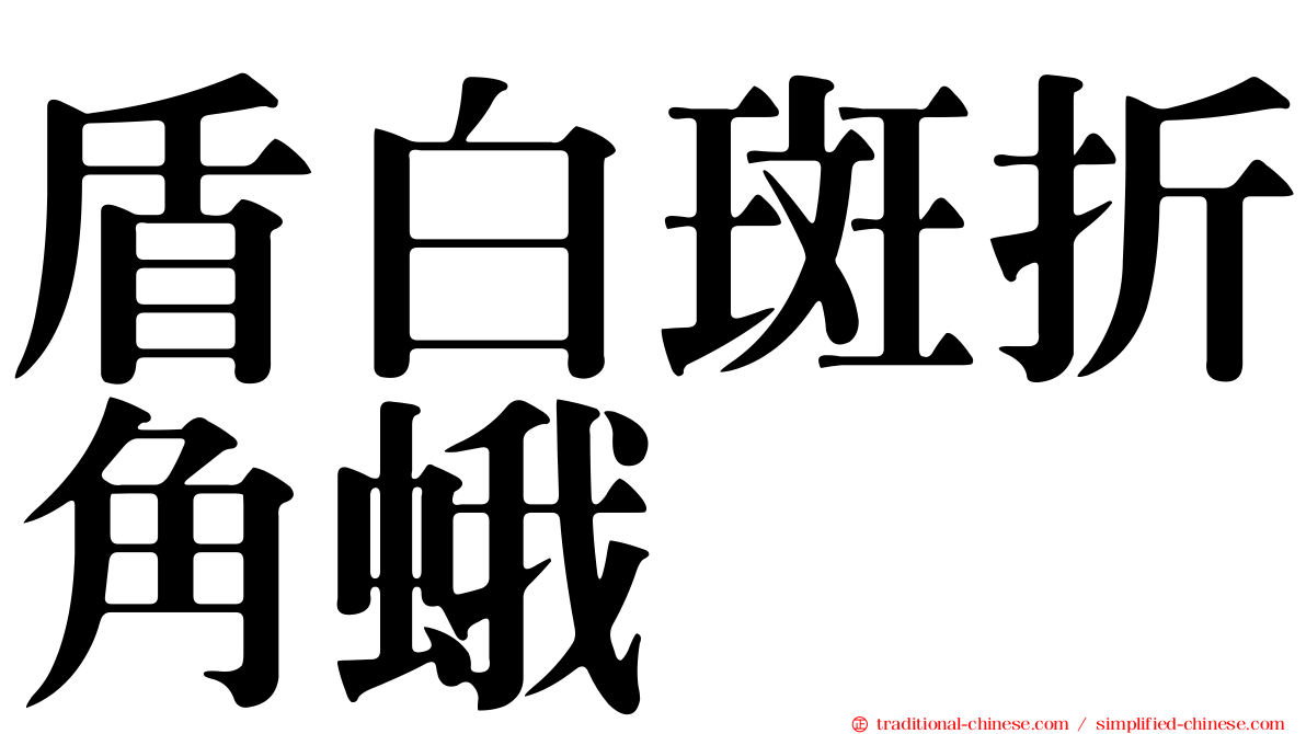 盾白斑折角蛾