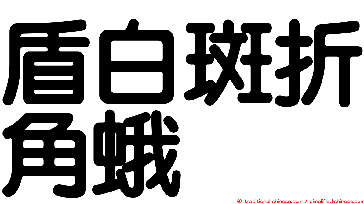 盾白斑折角蛾