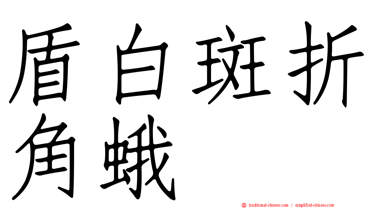 盾白斑折角蛾