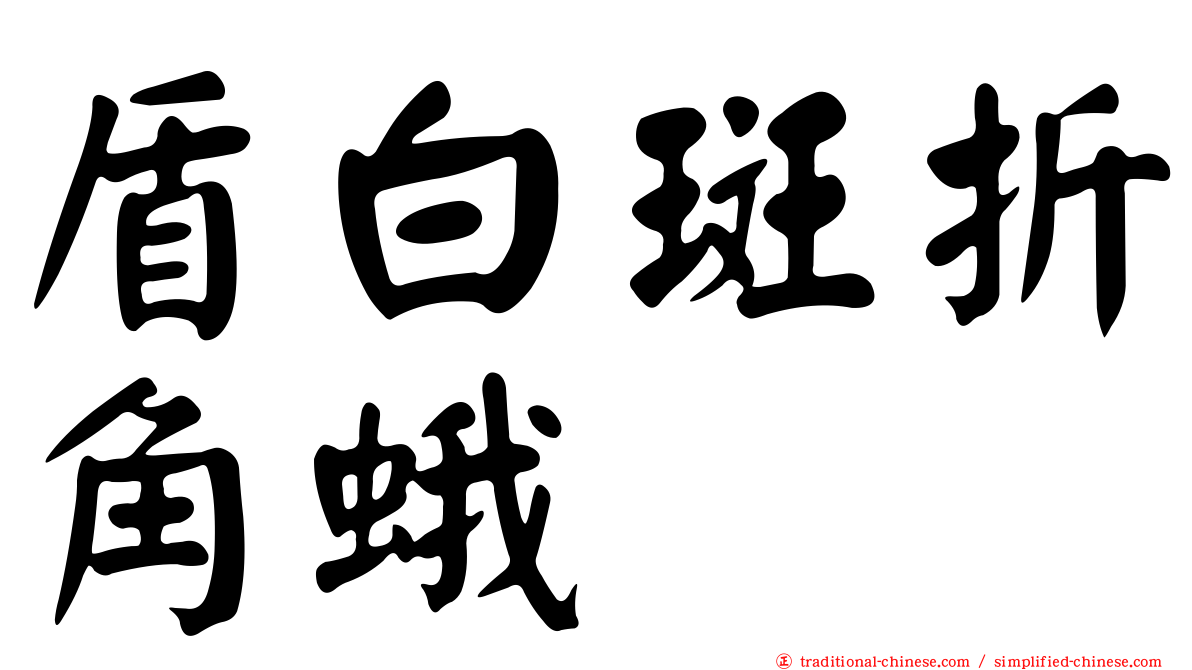 盾白斑折角蛾