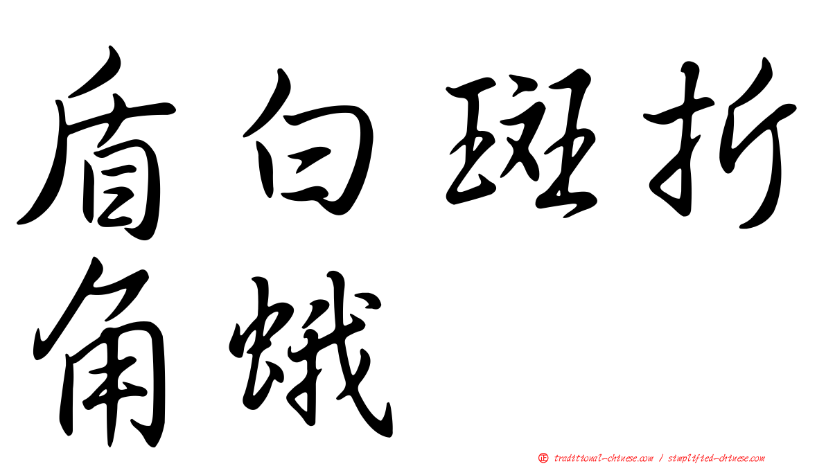 盾白斑折角蛾