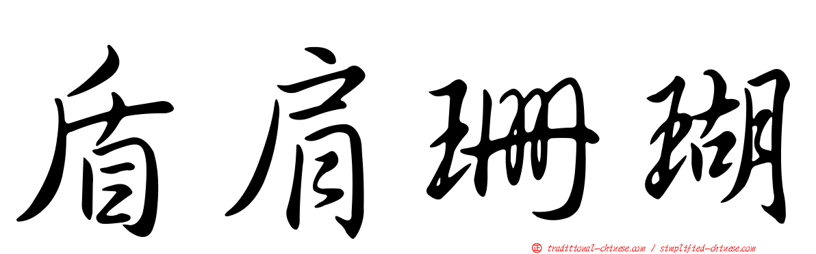 盾肩珊瑚