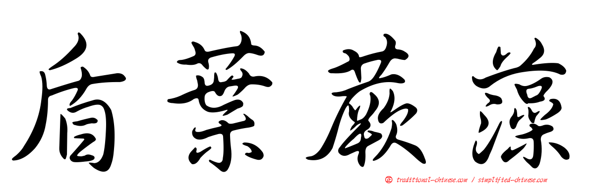 盾葉蕨藻