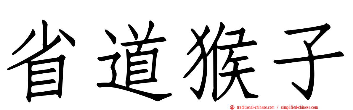 省道猴子