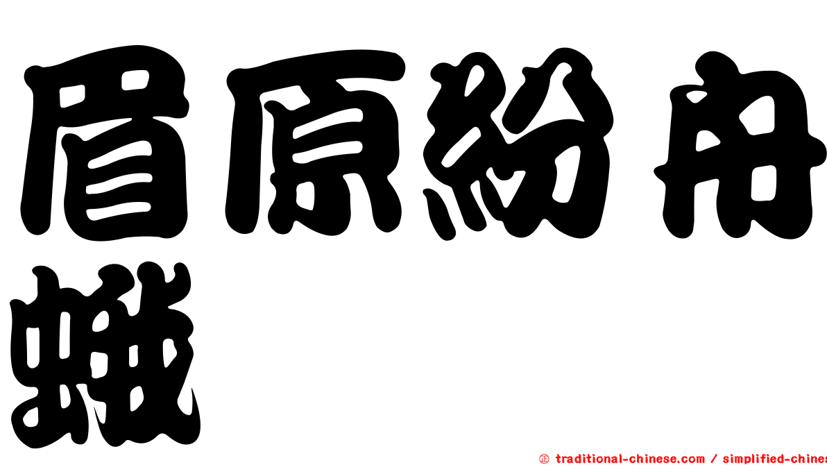 眉原紛舟蛾