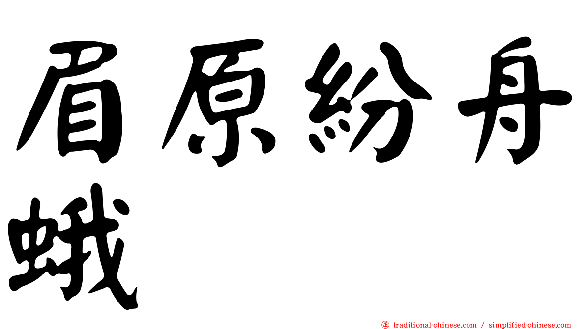 眉原紛舟蛾