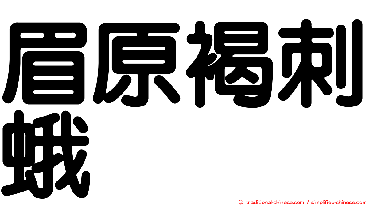 眉原褐刺蛾