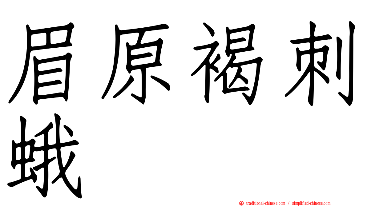 眉原褐刺蛾