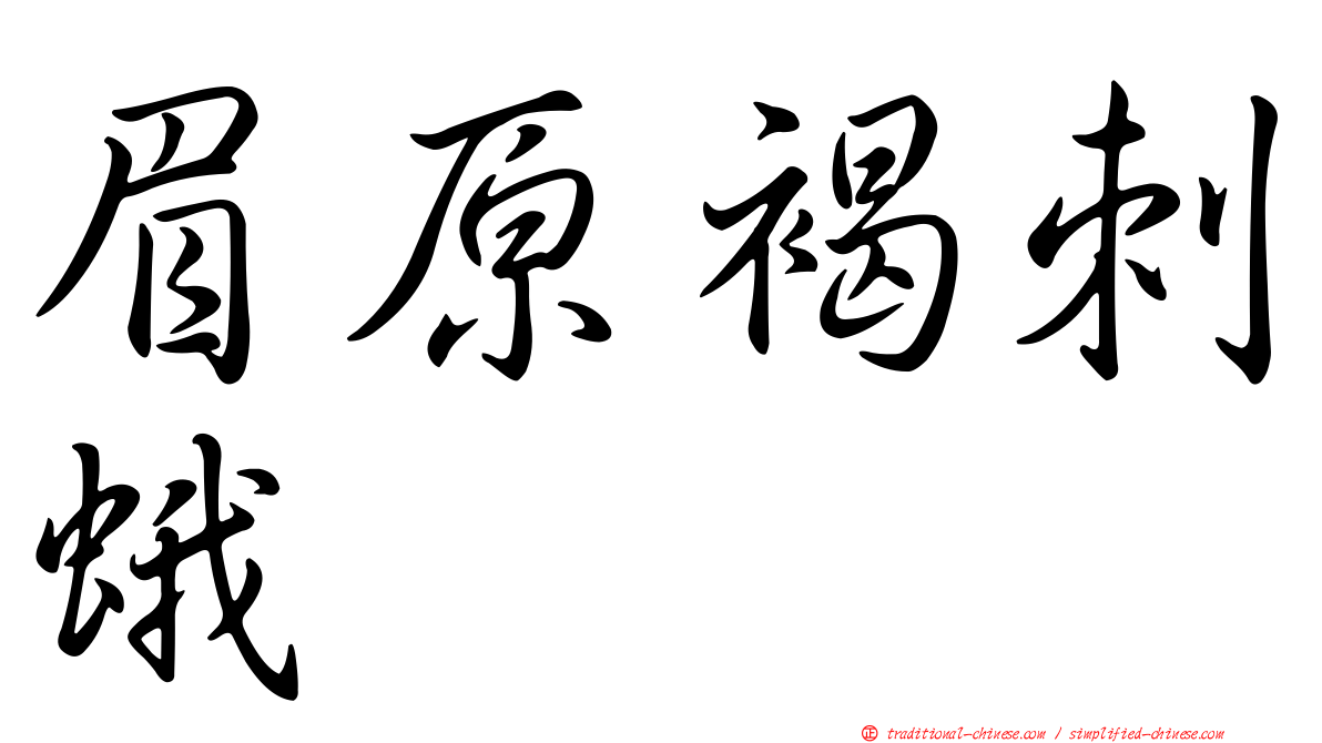 眉原褐刺蛾