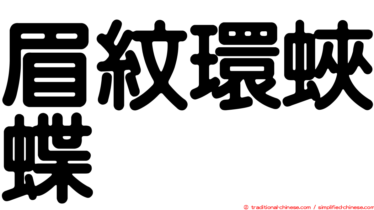 眉紋環蛺蝶