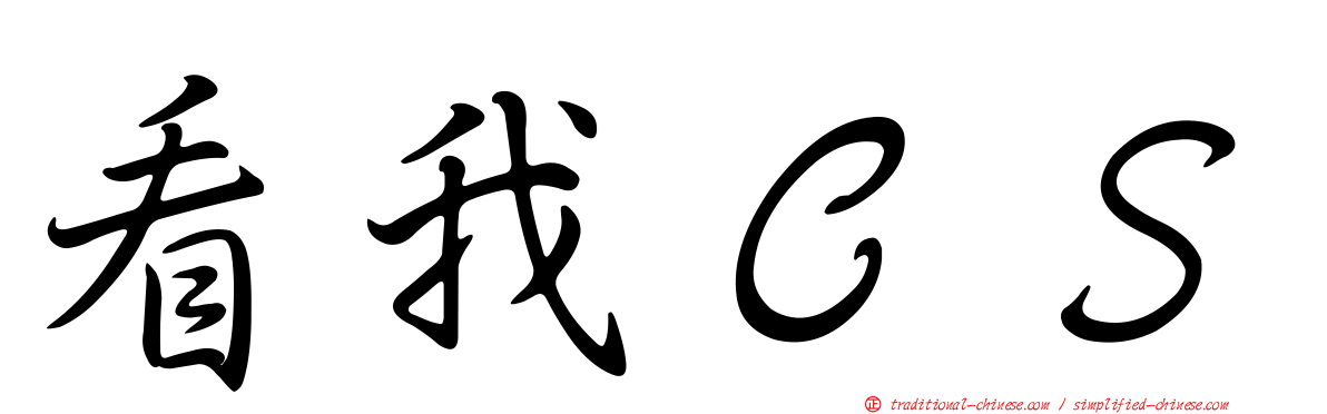 看我ＣＳ