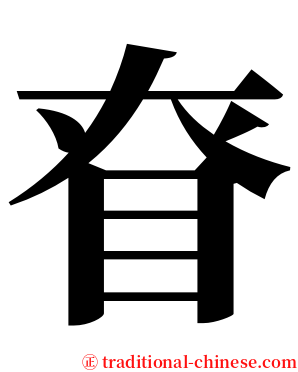 眘 serif font