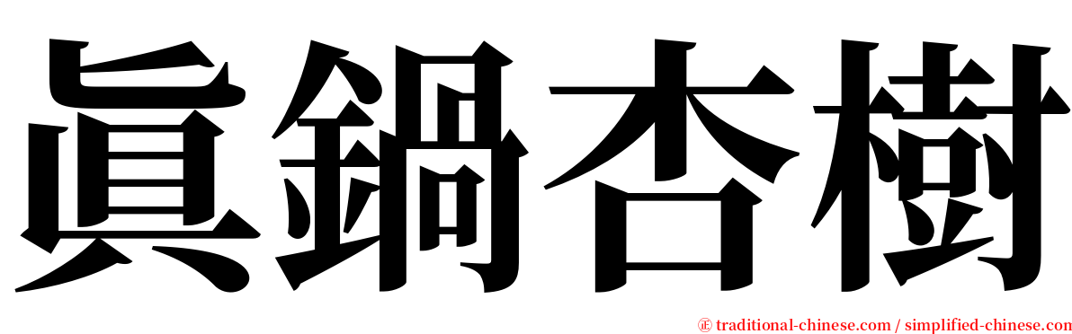 眞鍋杏樹 serif font