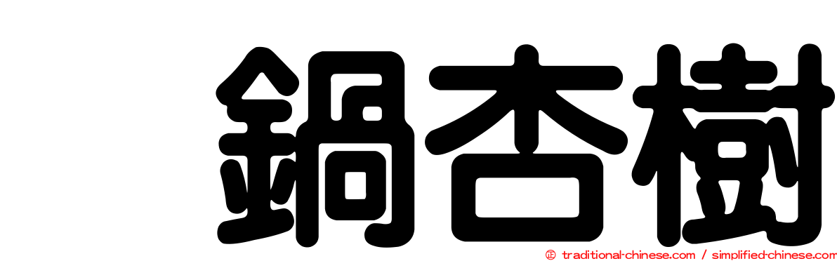 眞鍋杏樹