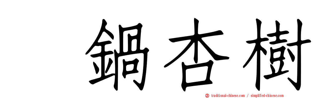 眞鍋杏樹