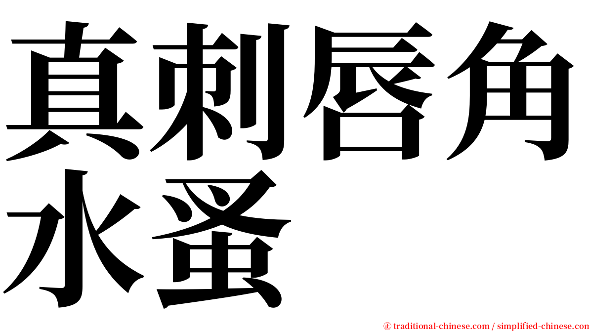 真刺唇角水蚤 serif font
