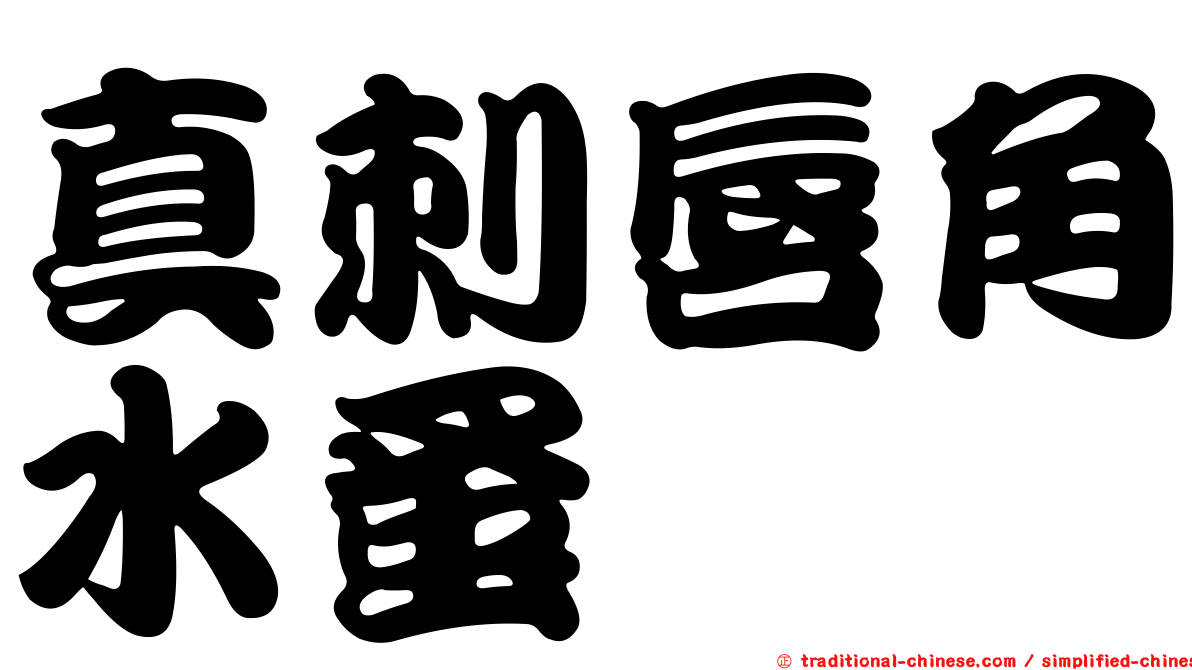 真刺唇角水蚤