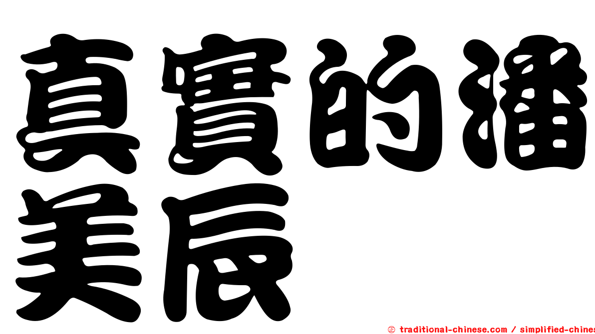 真實的潘美辰