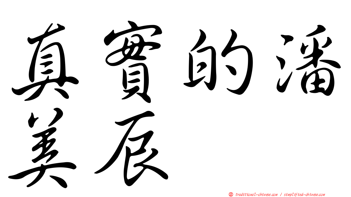 真實的潘美辰
