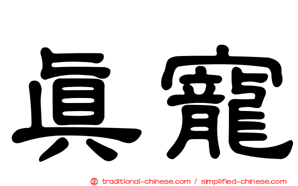 真寵
