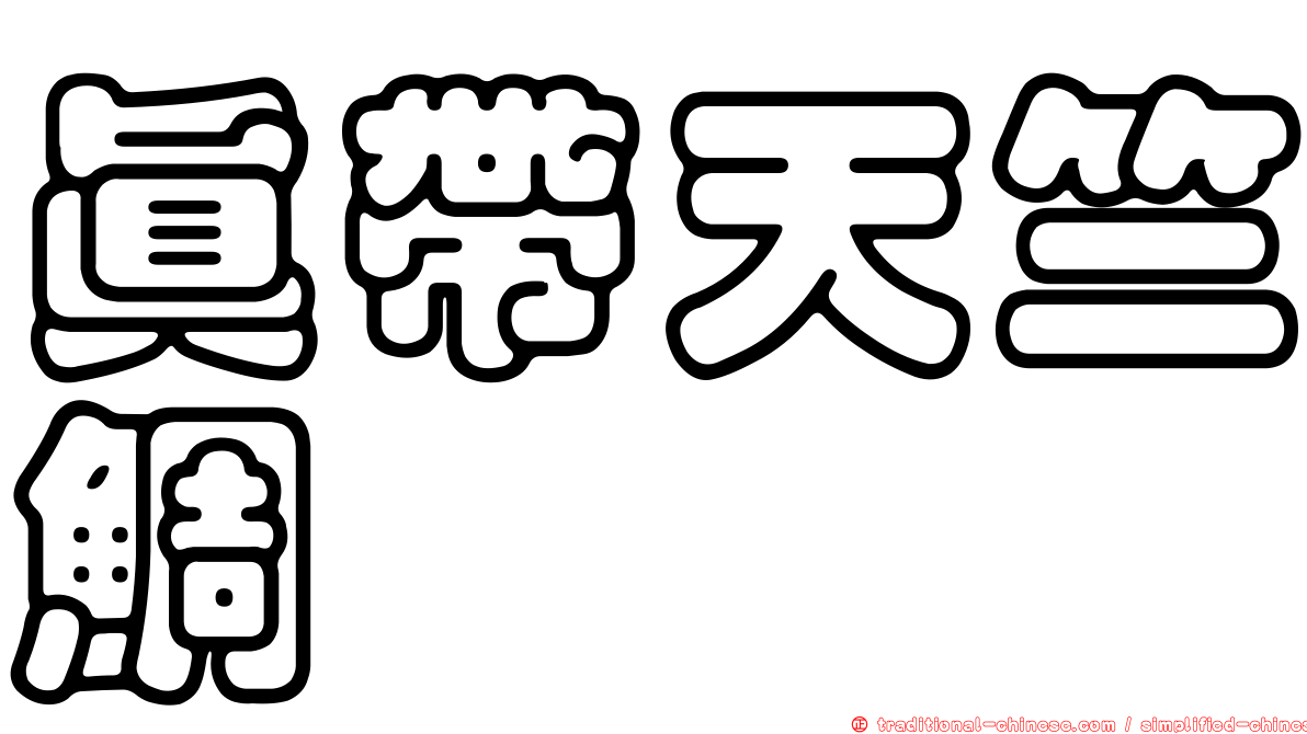 真帶天竺鯛