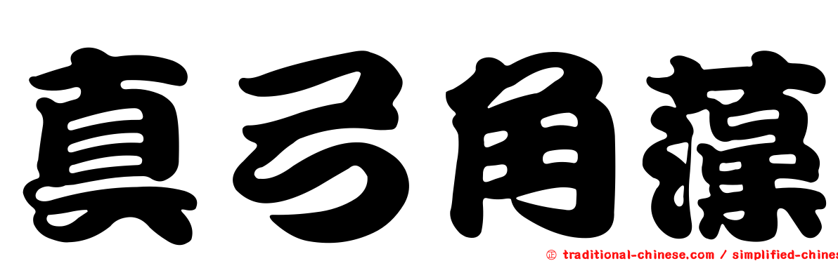 真弓角藻