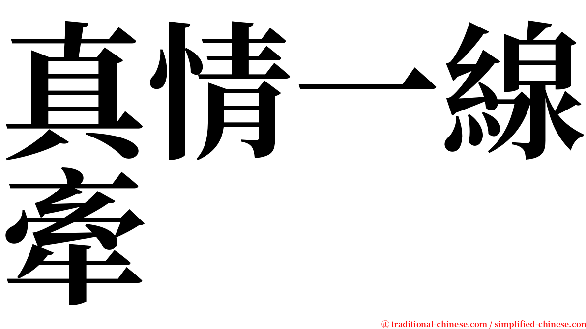 真情一線牽 serif font