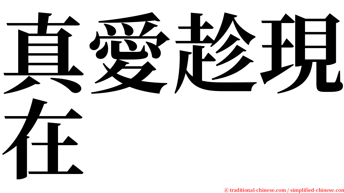 真愛趁現在 serif font