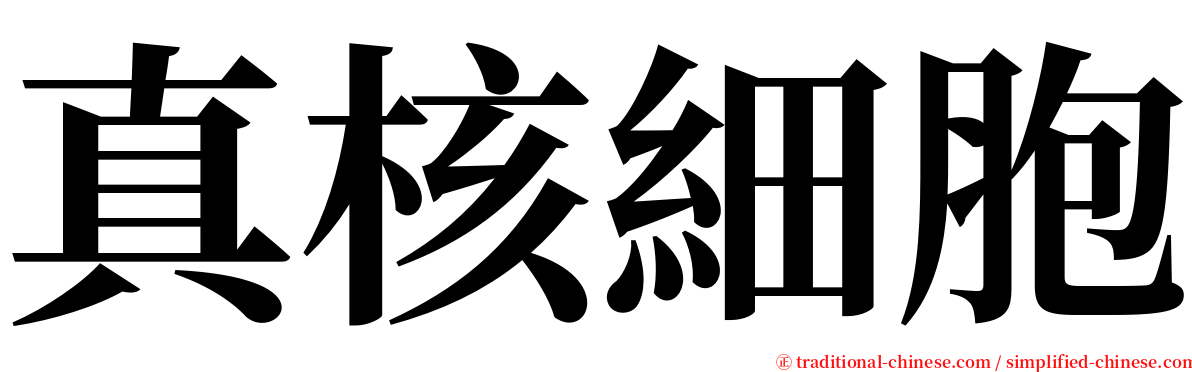 真核細胞 serif font